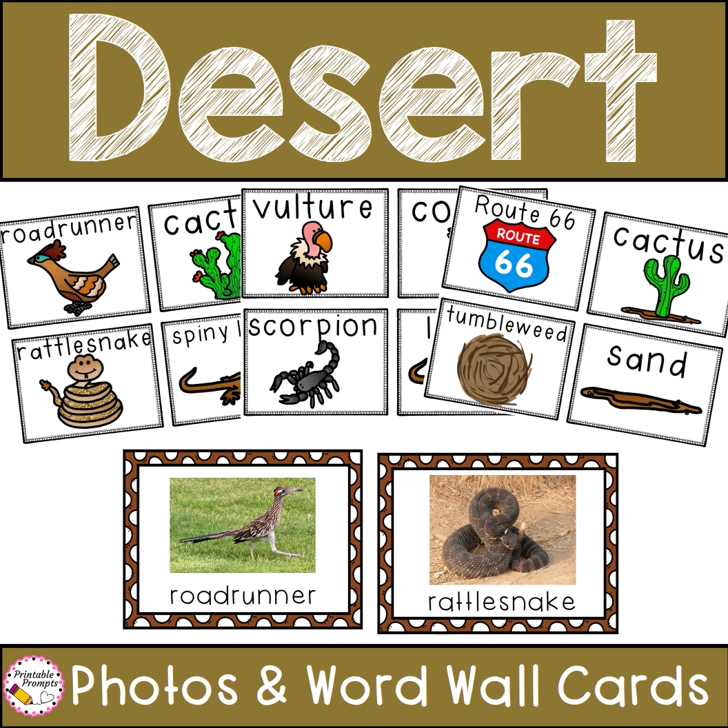 Desert animals essay in english picture